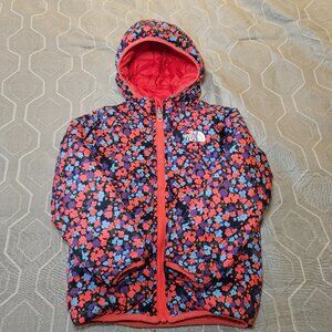 Northface fall Jacket